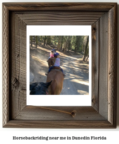 horseback riding near me in Dunedin, Florida